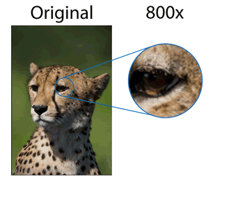 We zoom in to a photo of a cheetah to see what the quality is like